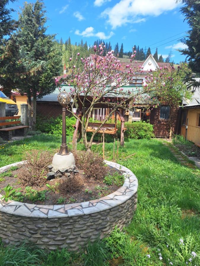 Casa Cu Lavanda 바틀돌니 외부 사진