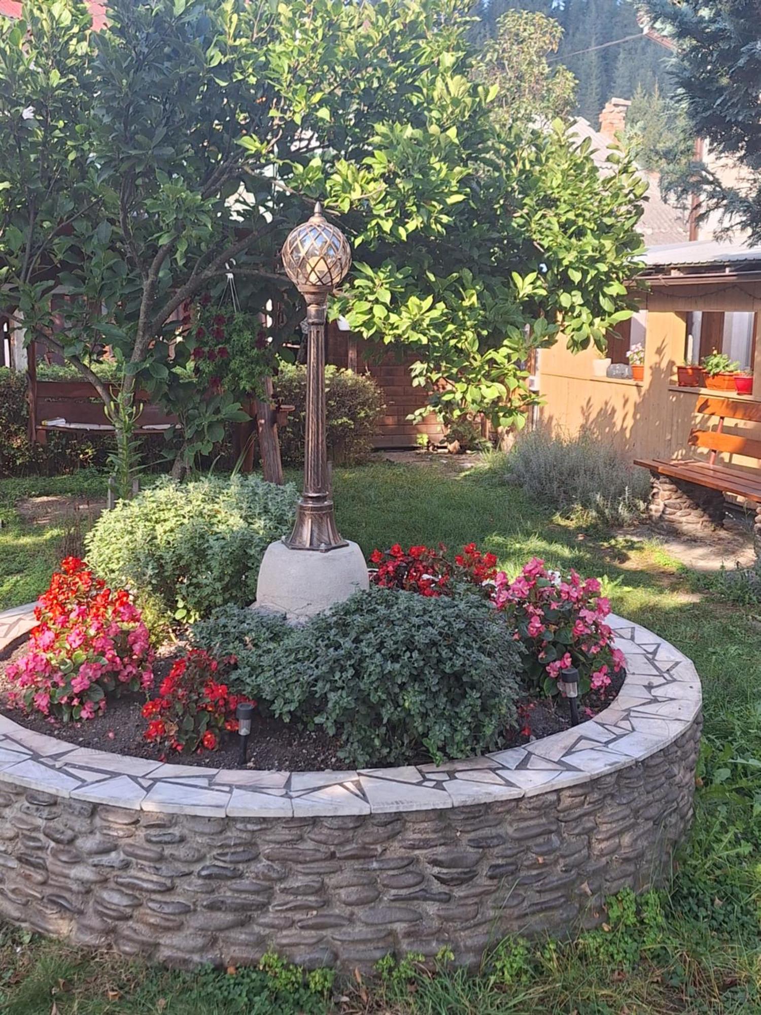 Casa Cu Lavanda 바틀돌니 외부 사진